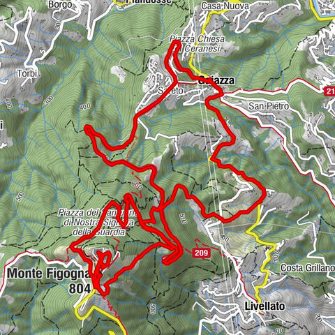 DH Apparizione – Livellato lines