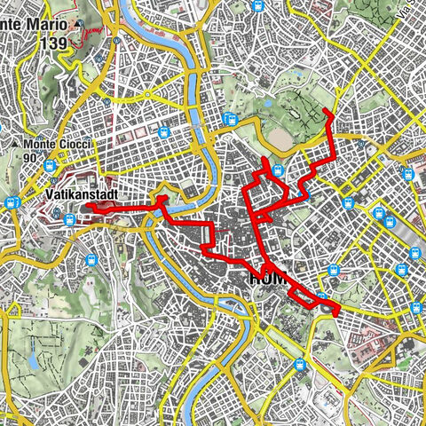 Sightseeing by bike through Rome