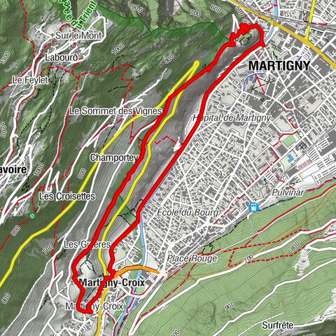 Vineyard terrace hike in Martigny