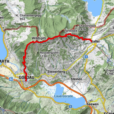 Sattel-Aegeri – Halsegg – Langmatt – Wildspitz – Gnipen – Spitzbühl - Ochsenboden - Goldau