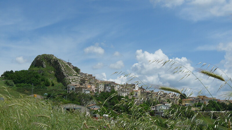 Harta