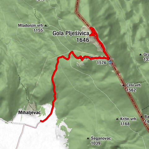 Gola Pljesivica, Croatia