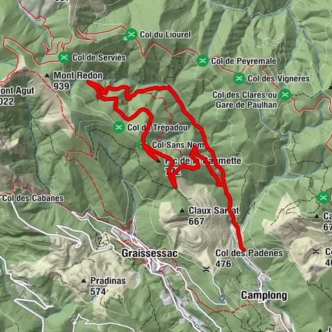 HIKING OF THE L'ESPAZE ARBORETUM