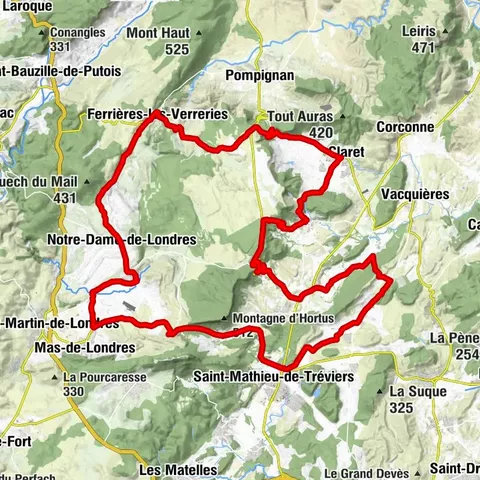 WINE ROUTE - VINES IN LANDSCAPES