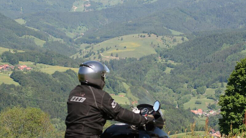 Harta
