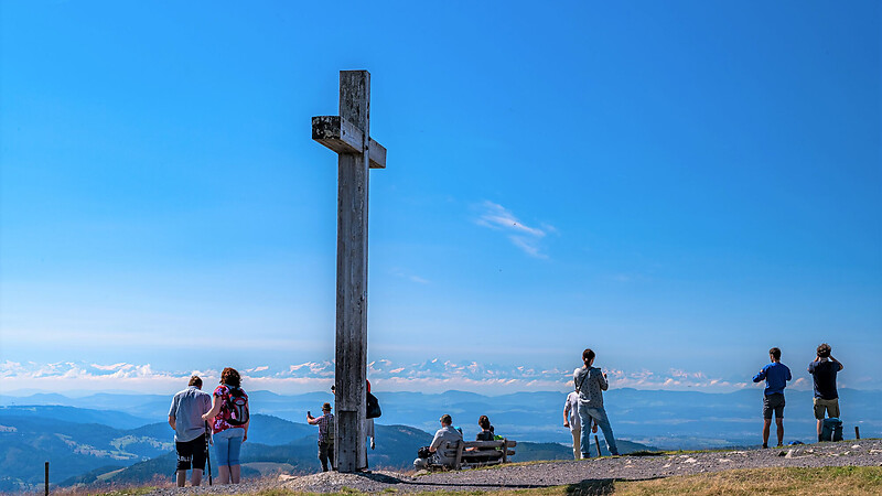 Harta