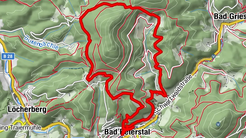 Schwarzwaldsteig in Bad Peterstal-Griesbach - eine Tour für "Weitblicker"