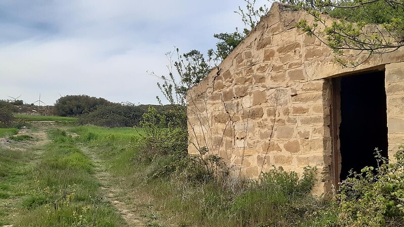 Harta