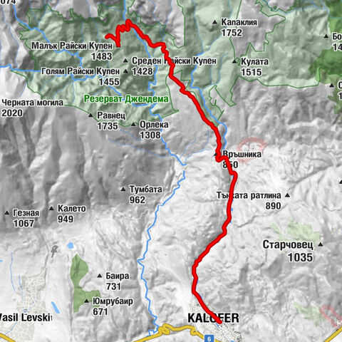 Роза - Връшника - Малък Райски Купен - Рай