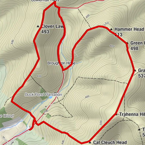 Scottish Borders - Clover Law - Hammer Head - Gray Yade