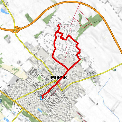 Monor - Hagyományos ízek - Zöldfa vendéglő - Főzelék Dzsungel