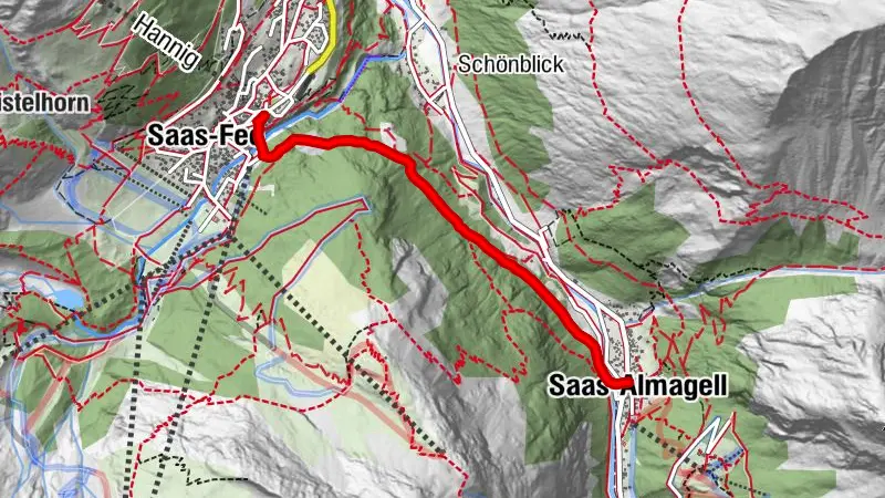 E-bike route forest path