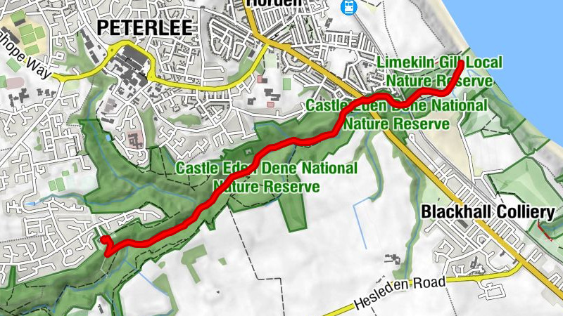 Peterlee