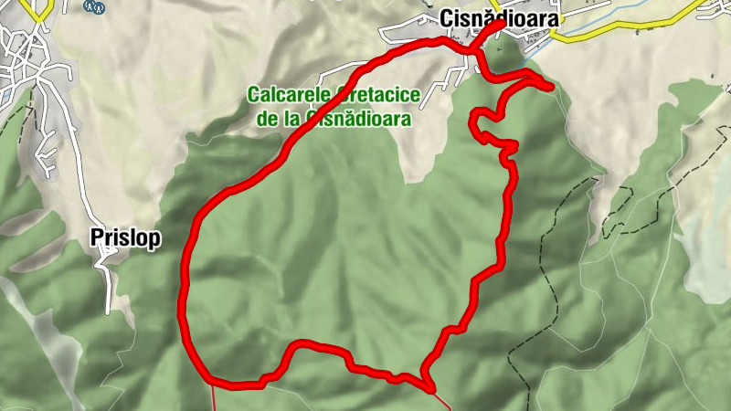 Restaurant Monaru - Cisnădioara - Prislop - Pensionea Sub Cetate