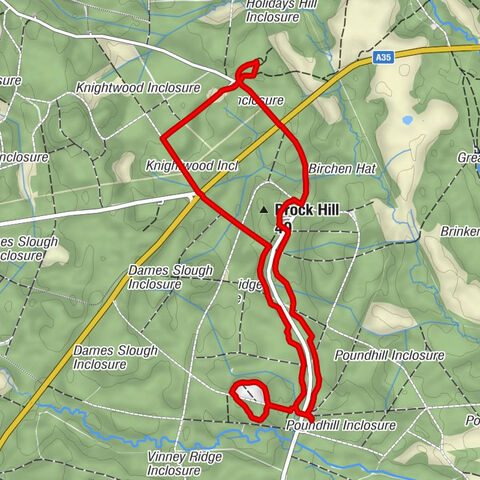 Brockenhurst - Brock Hill