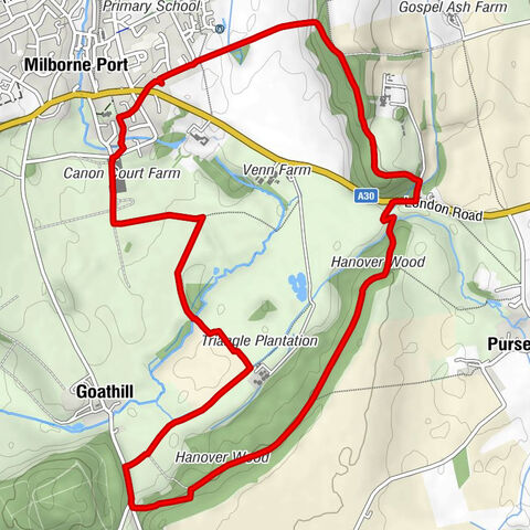 Milborne Port - Goathill