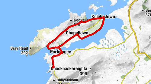 Doory - St. John the Baptist - Fuchsia - Church of the Immaculate Conception