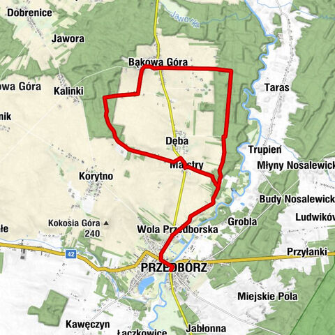 Przedbórz - Restauracja Parkowa - Wola Przedborska - Bąkowa Góra