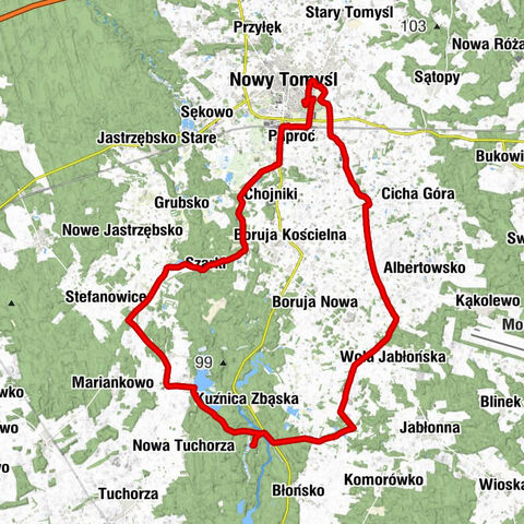 Paproć - Nowy Tomyśl - Chojnickie Górki