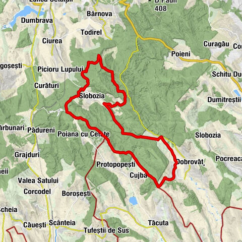 Dobrovăț - D Călina