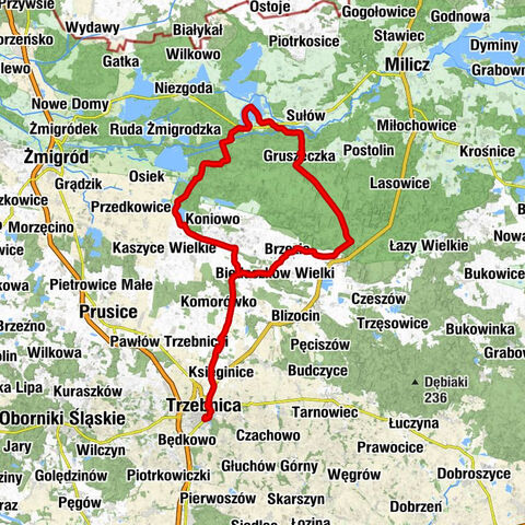 Trzebnica - Trzebnica-Zdrój - Krągłe Wzgórze