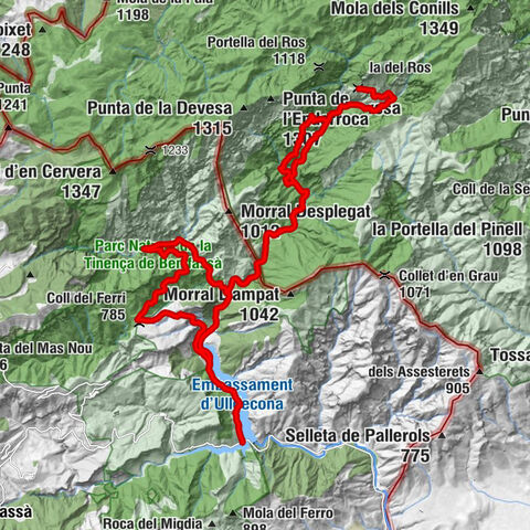 la Pobla de Benifassà - Mangraners - Collet de l'Herba Sana - Coll del Ferri