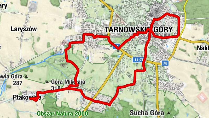 Ptakowice - Kościół pw. Świętych Apostołów Piotra i Pawła - Kościół pw. św. Anny - Kościół świętego Marcina
