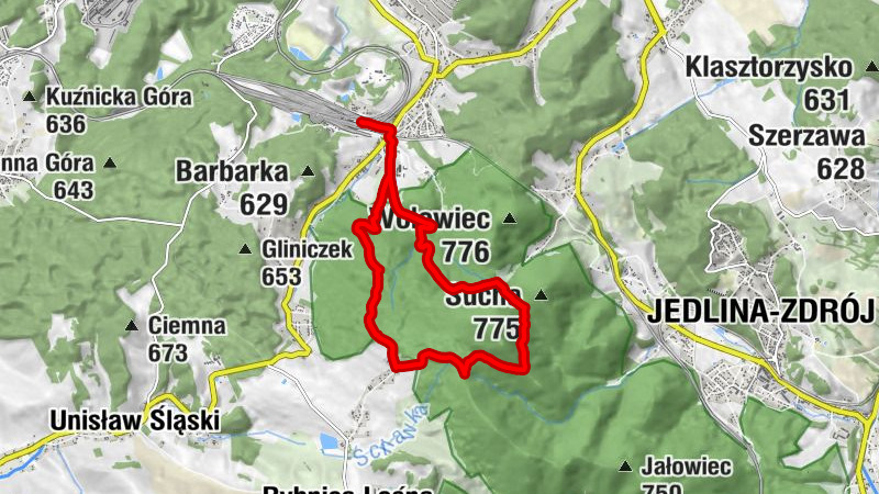 Wałbrzych - Rozdroże Leśne Berdo - Przełęcz pod Borową - Jedlina-Zdrój