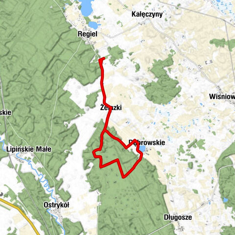 powiat ełcki - Żelazki - Dąbrowskie