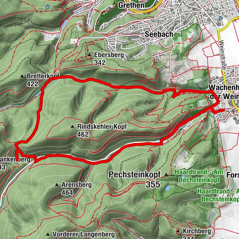 Wachenheimer Valleys Route to Oppauer Haus