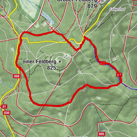 Eichhörnchenrunde - Glashütten, Deutschland