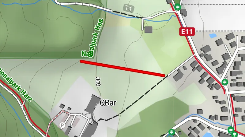Rodelbahn an der Amtswiese - Ilsenburg