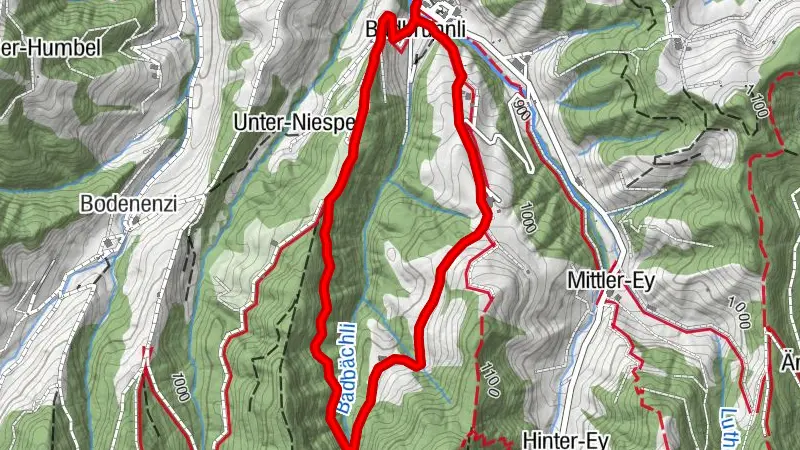 Schneeschuh Tour Luthern Bad - Niespel - Badegg