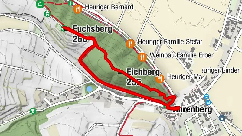 AHRENBERG Eichberg, Fuchsberg, Spaziergang 20260420