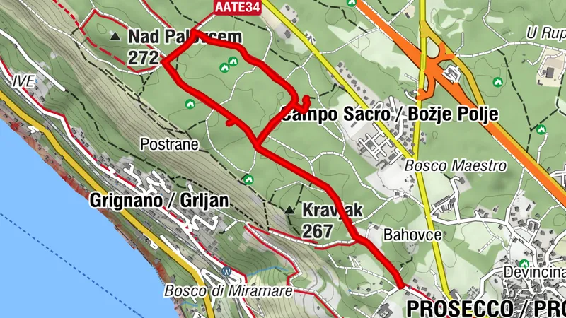 Park 97 - Training camp of Prosecco