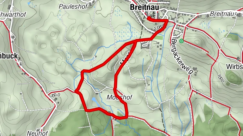Breitnau - Besuch bei Maria im Moos