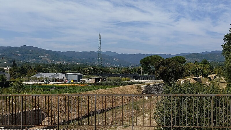 Harta