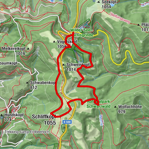 Ruhestein - Schliffkopf - Ruhestein