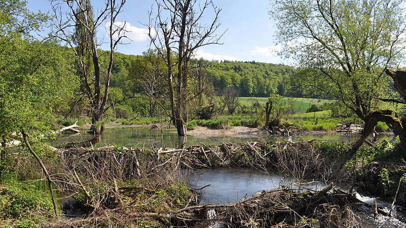 Harta