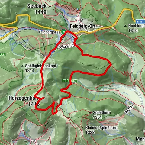 Altitude on the Herzogenhorn