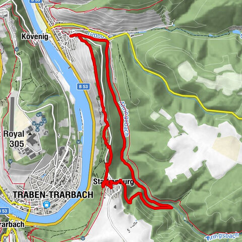 Moselsteig side route Leiermannspfad