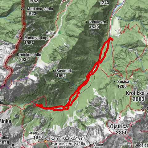 Logarska dolina sa Minom, Borkom i Žakom