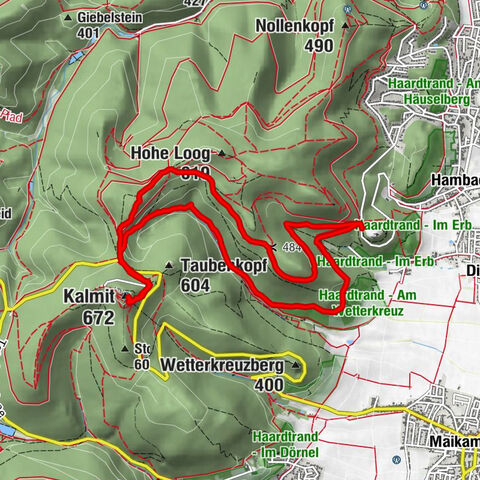 Vom Hambacher Schloss auf die Kalmit