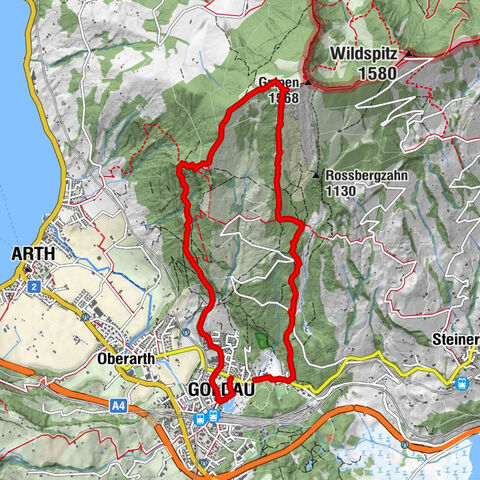 Gnipen - ab Goldau - Rundwanderung